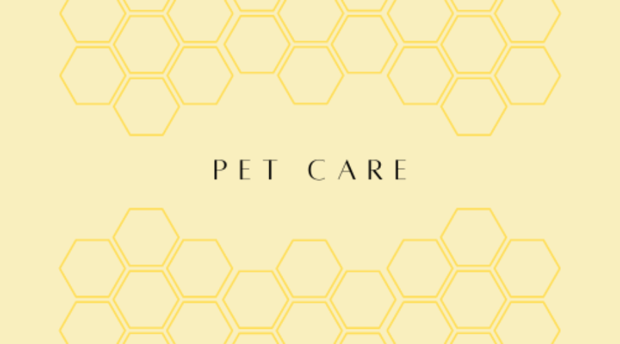 Pet care Service Examples – Customize Your Listings!